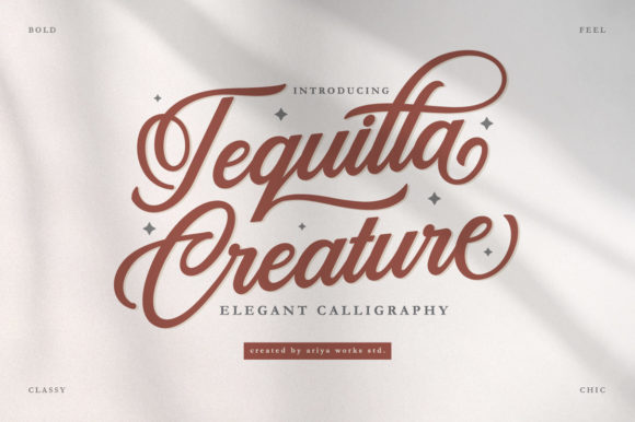 Tequilla Creature: A Refined Script Font for Web Design